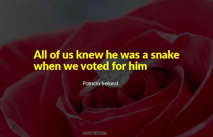 We Voted Quotes #140183