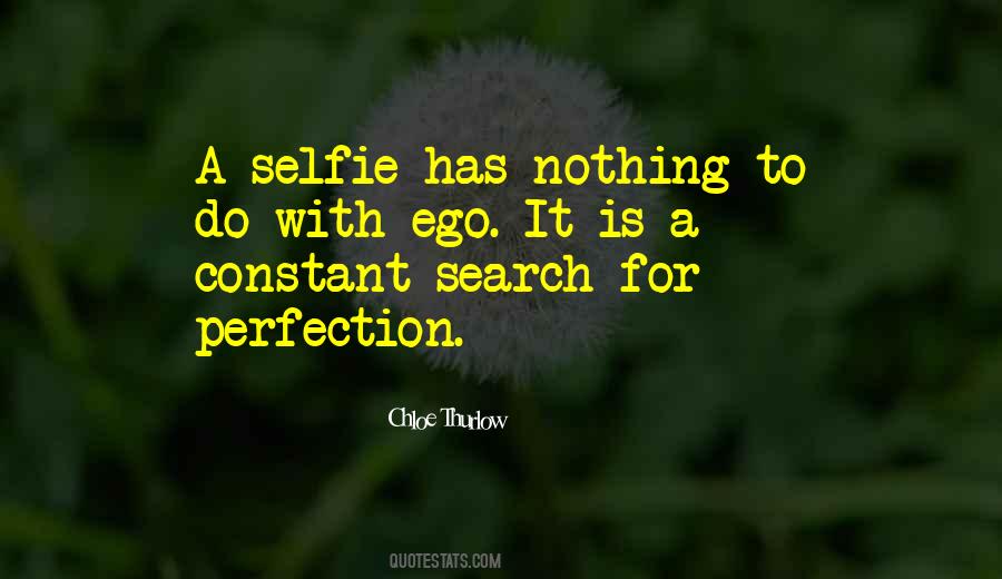Search For Perfection Quotes #1671047