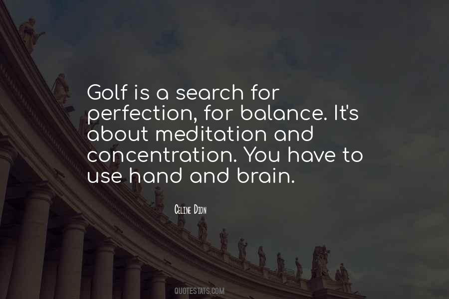 Search For Perfection Quotes #1680352