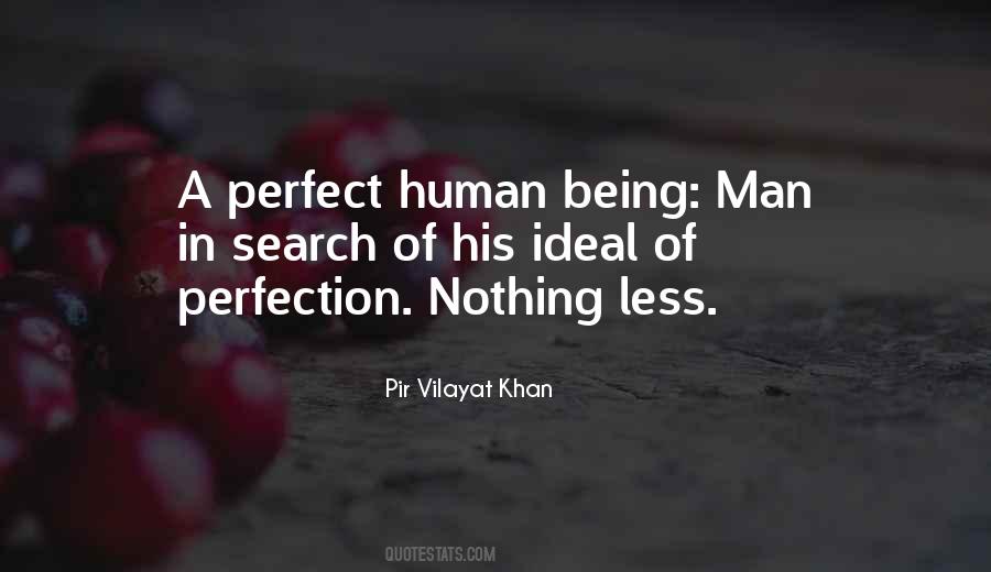 Search For Perfection Quotes #1712310