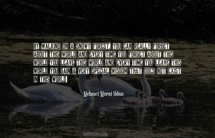 Quotes About Wisdom In Time #65070