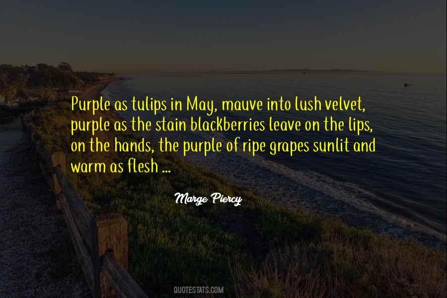 Quotes About The Purple #1434448