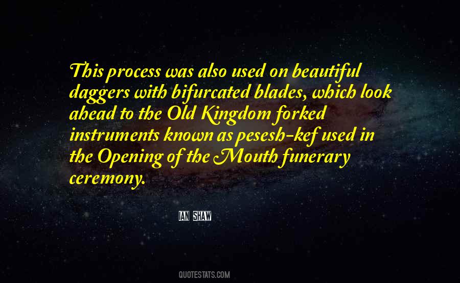 Old Look Quotes #1542