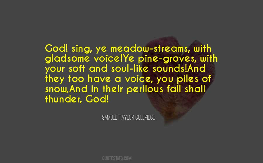 Soft Voice Quotes #184307