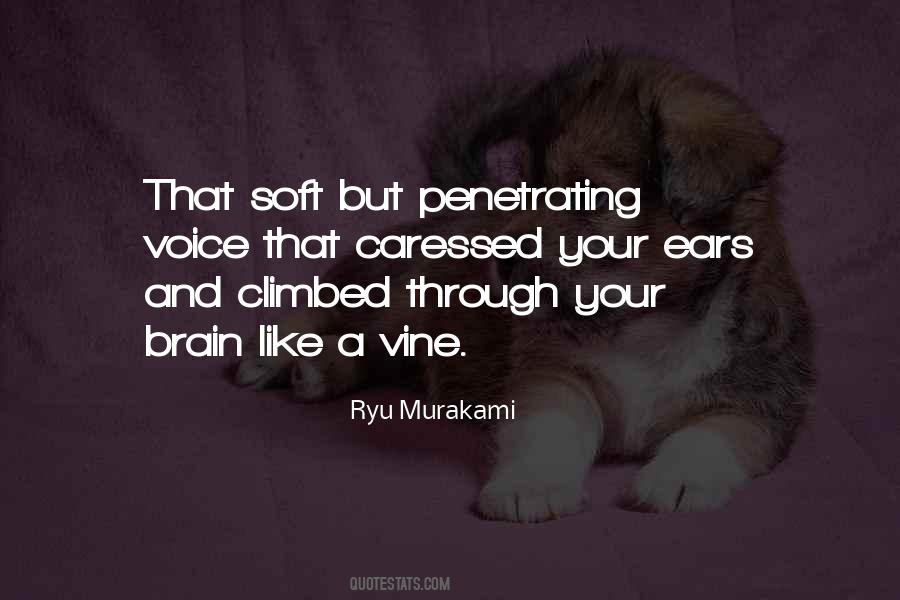 Soft Voice Quotes #868096