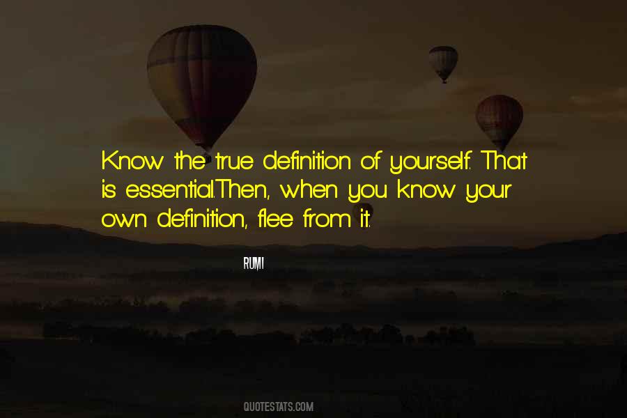 You Own Yourself Quotes #25380