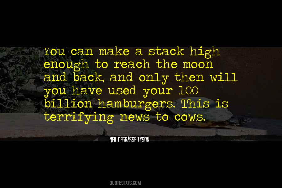 Funny Meerkat Quotes #307797