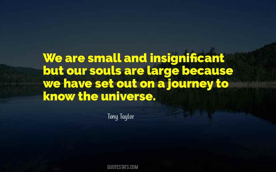 We Are Insignificant Quotes #1430826