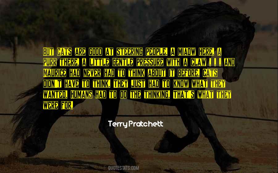 Quotes About Here To There #250053