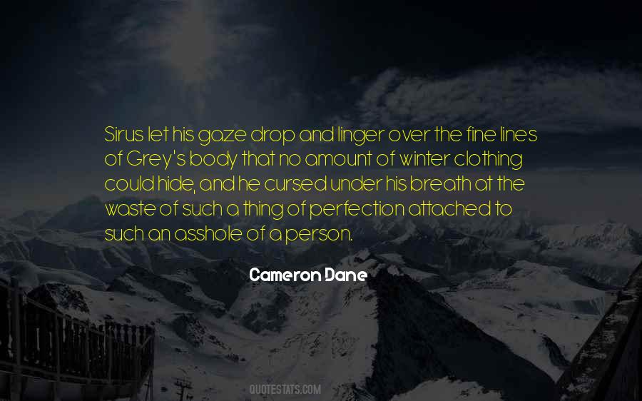 Perfection Over Quotes #1422411