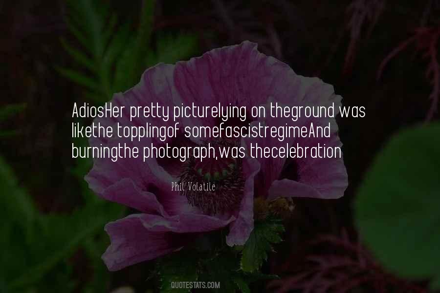 Picture Of Love Quotes #657909