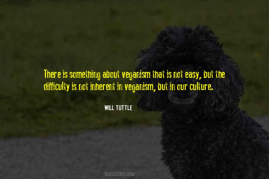 Never Stop Discovering Quotes #923614