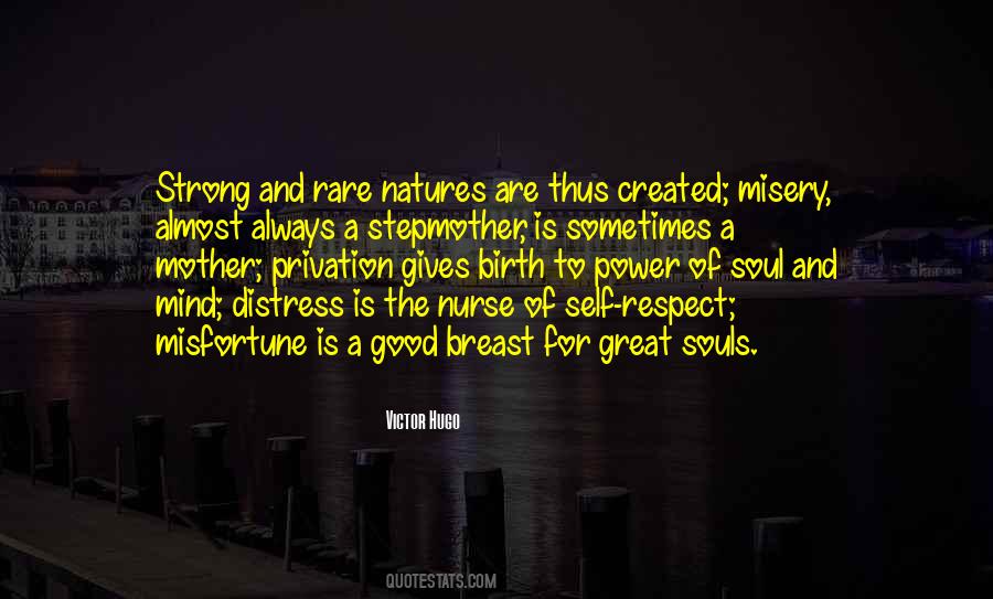 A Great Soul Quotes #98646