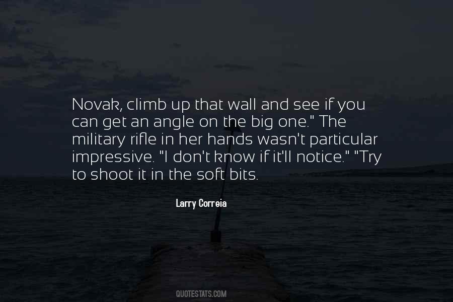 Rifle On The Wall Quotes #13936