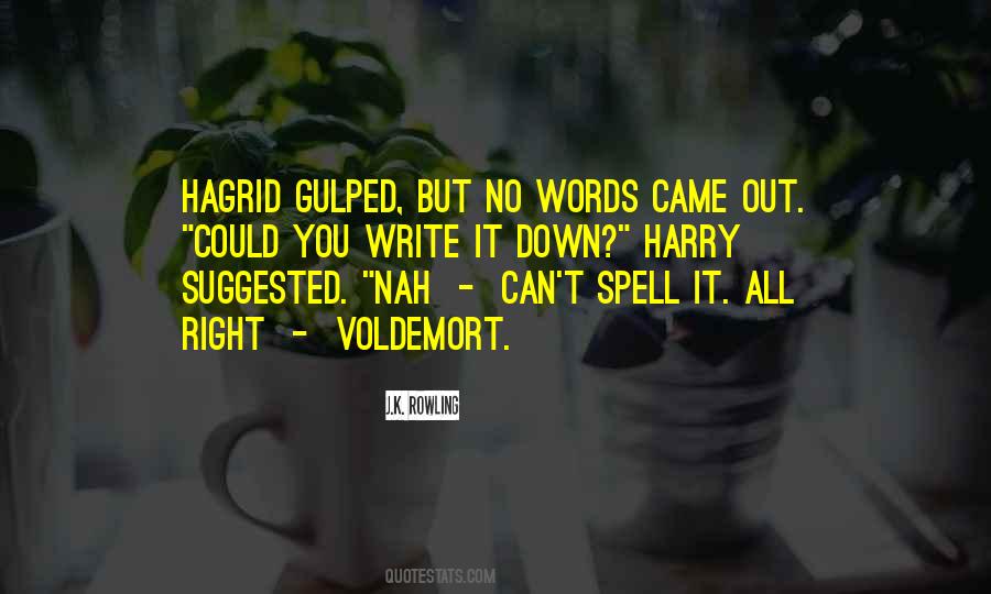 No Words Came Out Quotes #344087