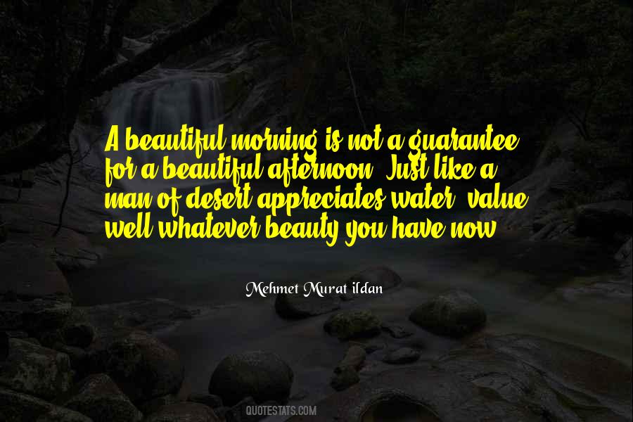 Beauty Man Quotes #1073777
