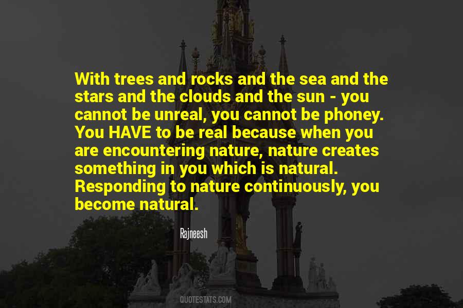 Rocks And Trees Quotes #1077726