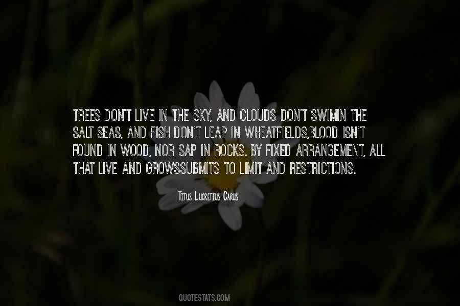 Rocks And Trees Quotes #1746825