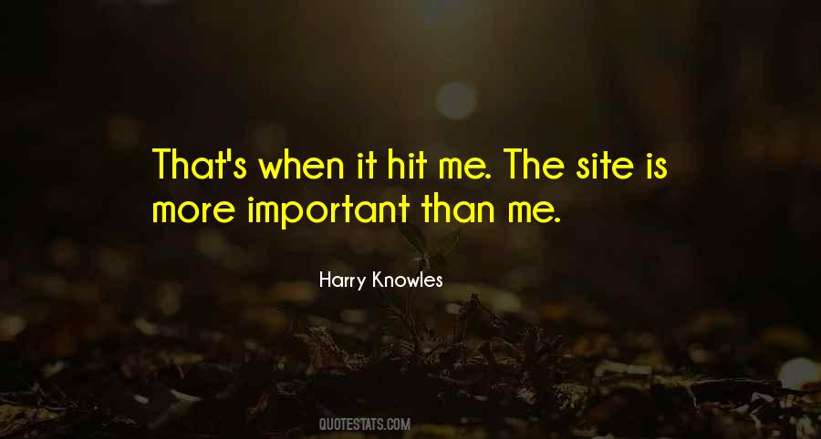 More Important Than Me Quotes #1751549