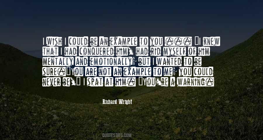You Never Wanted Me Quotes #515399