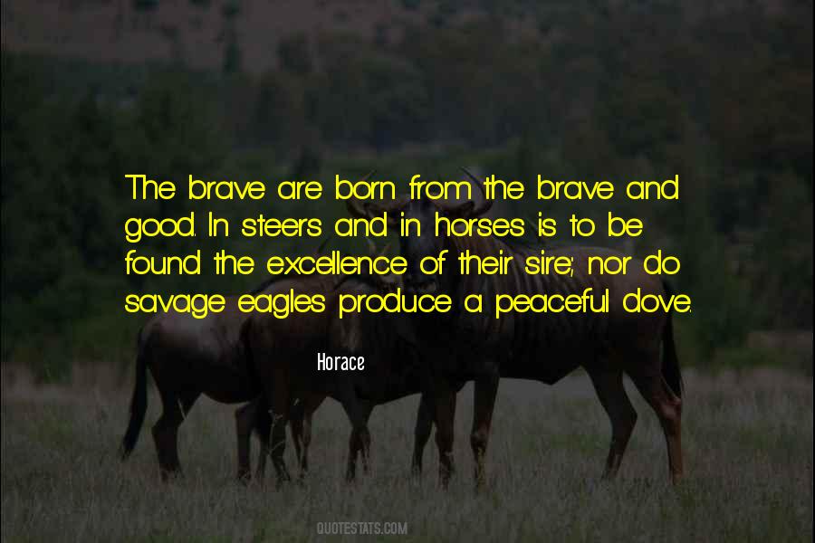 Quotes About Good Horses #1853495