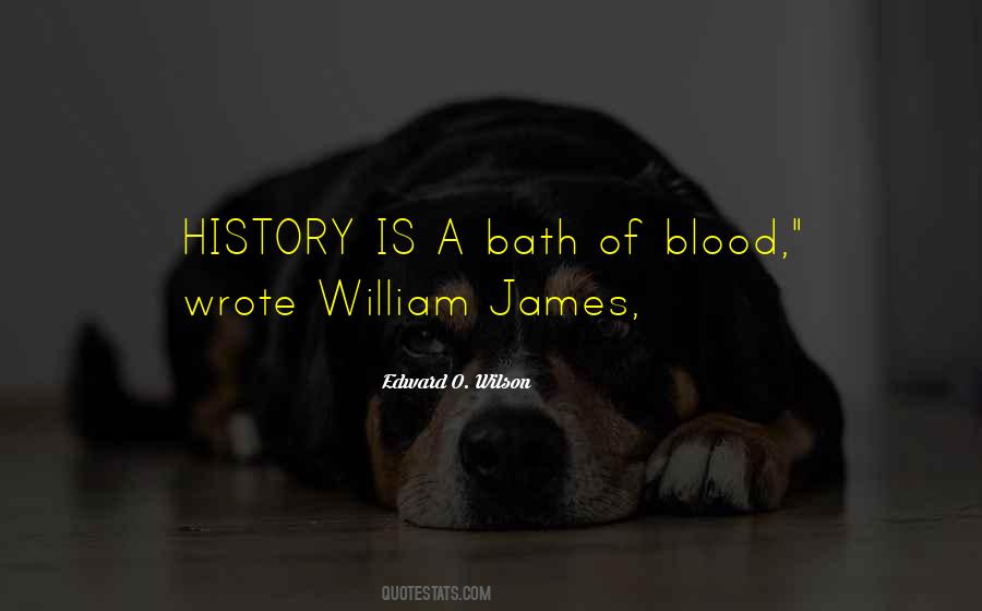 James Edward Quotes #511551