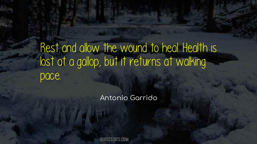 To Heal A Wound Quotes #143246