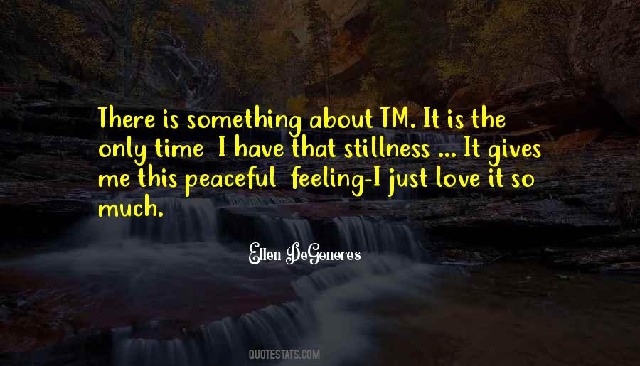 Peaceful Feeling Quotes #924936