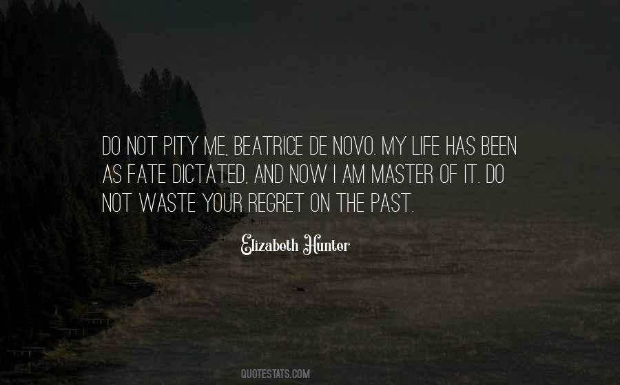 You Are The Master Of Your Fate Quotes #1141636
