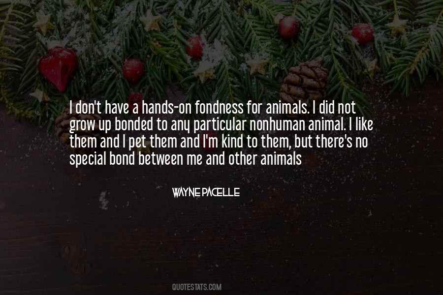 Pet Me Quotes #212019