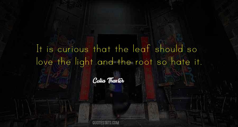 Love Roots Quotes #971915