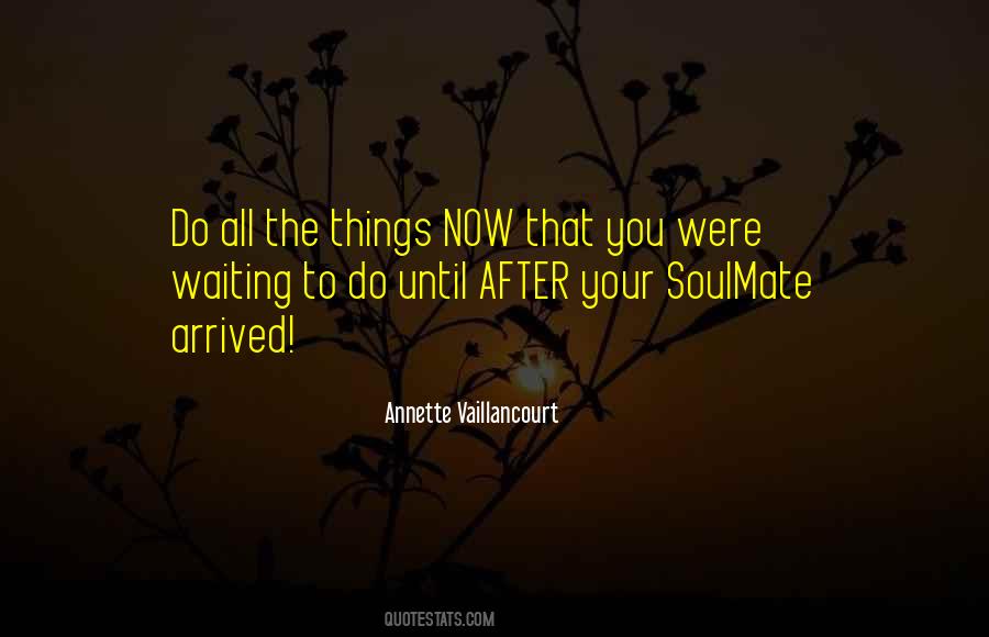 One Soulmate Quotes #51869