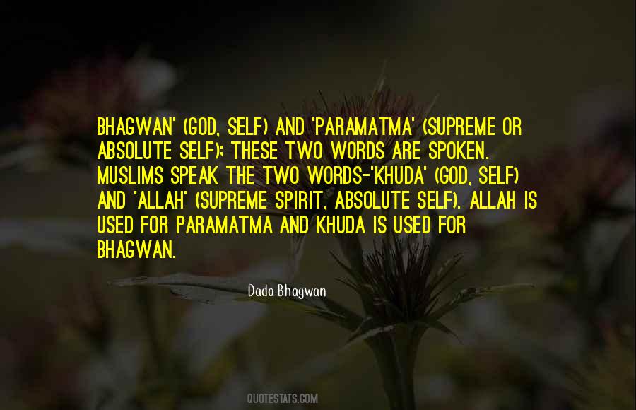 There Is No God But Allah Quotes #953952