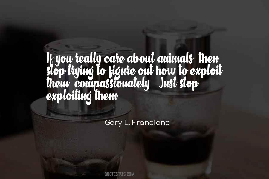 If You Stop Trying Quotes #1665787