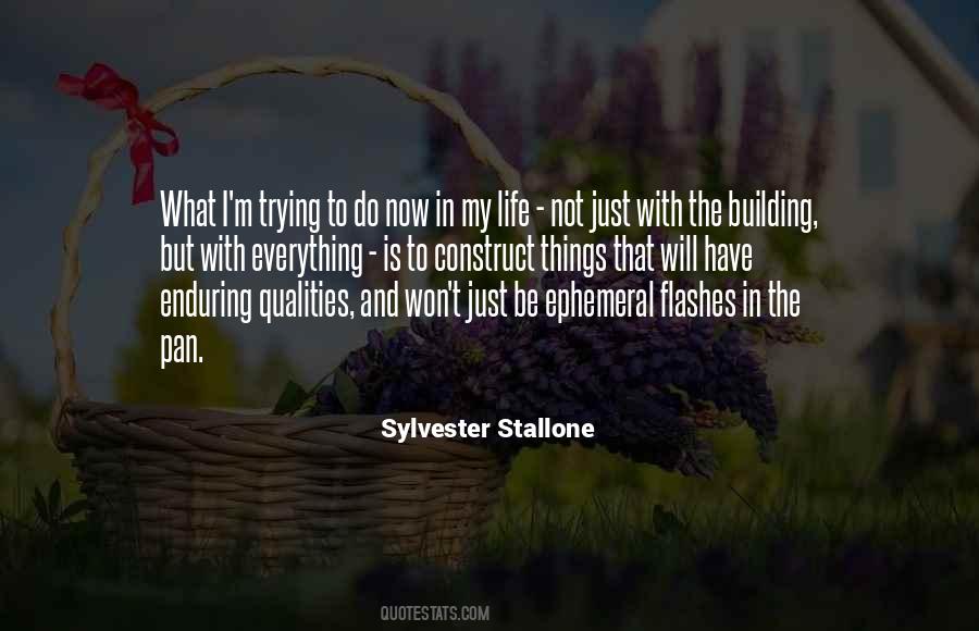My Life My Everything Quotes #310752