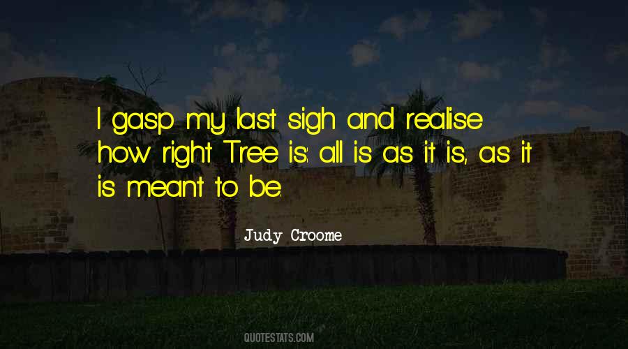 It Is Meant To Be Quotes #1086664