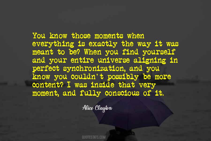 It Is Meant To Be Quotes #300832