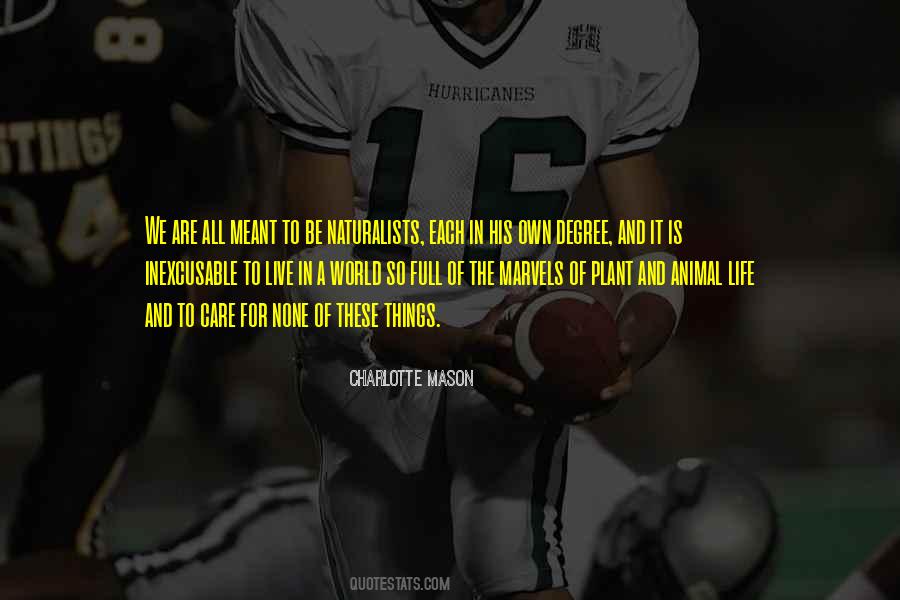 It Is Meant To Be Quotes #539502