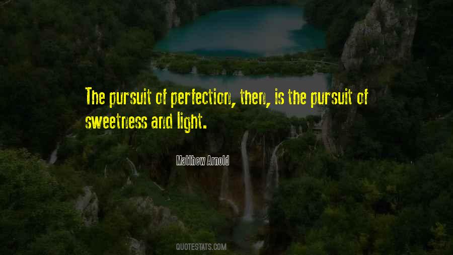 In Pursuit Of Perfection Quotes #1295734
