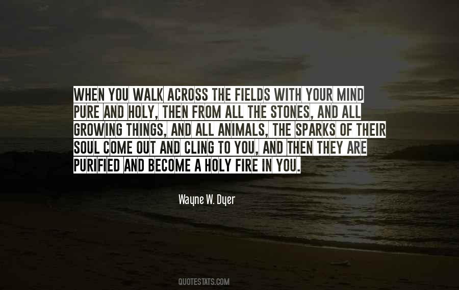 Fire Soul Quotes #1022581