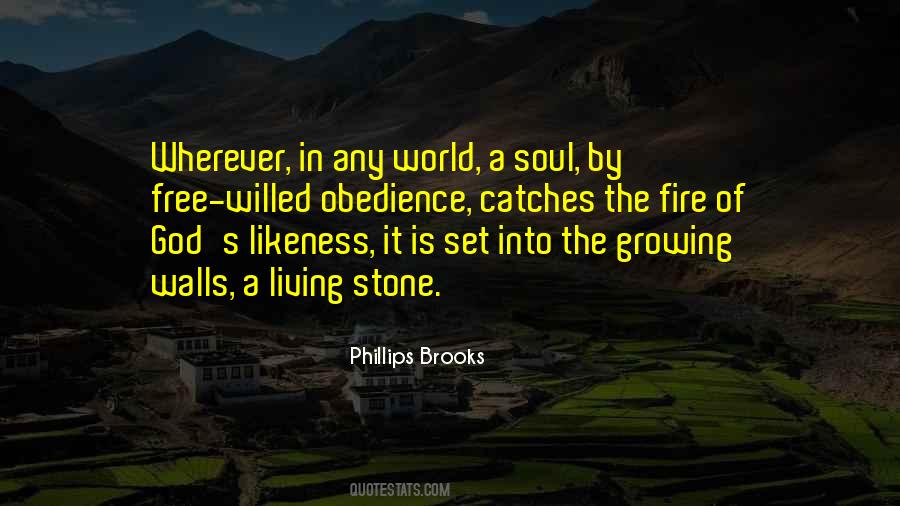 Fire Soul Quotes #1173072