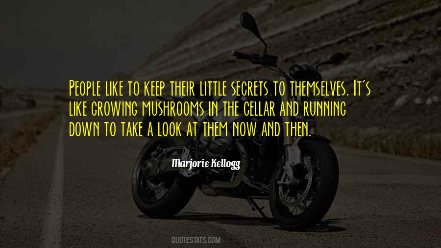 Little Secrets Quotes #351685