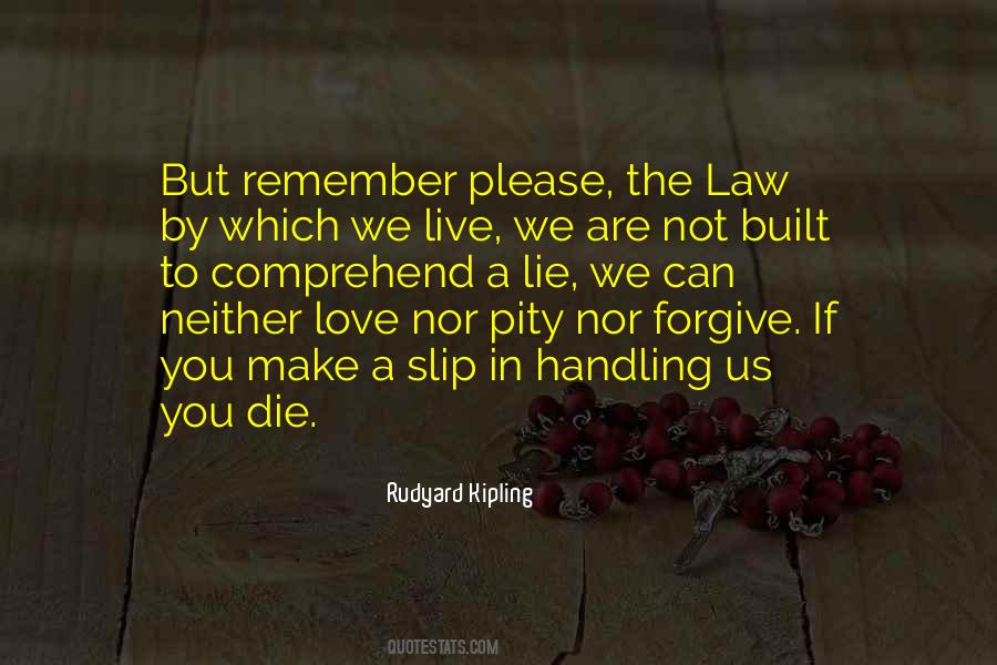 Forgive Me For Lying Quotes #414576