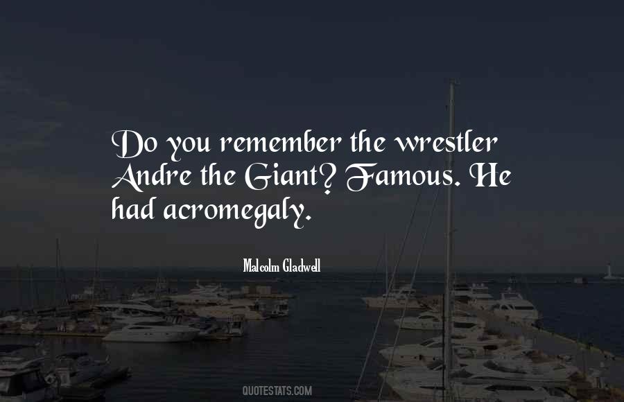 The Wrestler Quotes #556571