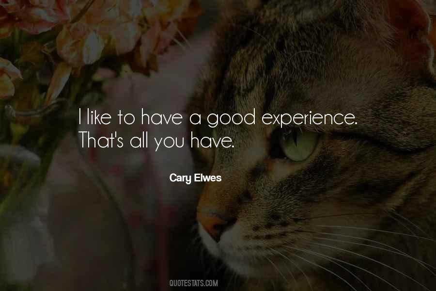 Quotes About Good Experiences #361144