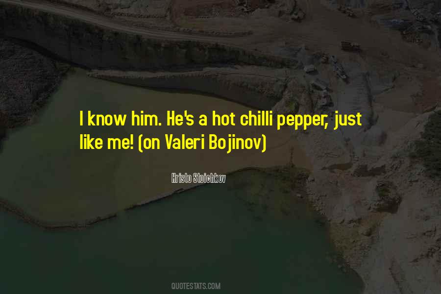 Valeri Bojinov Quotes #1721827