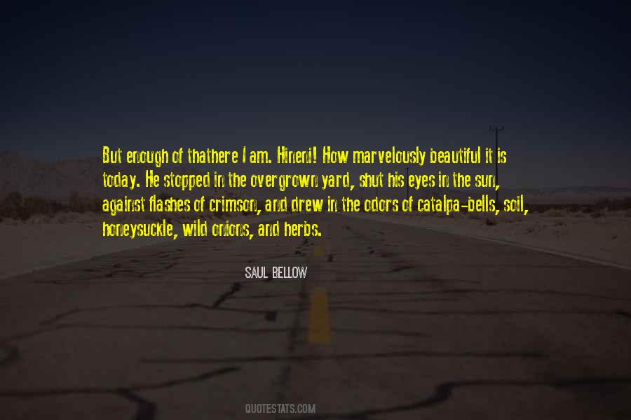 Today Is Here Quotes #149625
