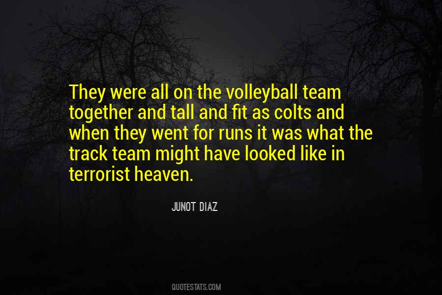 Team Volleyball Quotes #699806