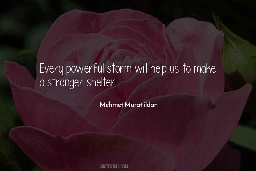 Make Us Stronger Quotes #108705