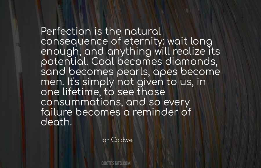 Perfection Is Quotes #1065729